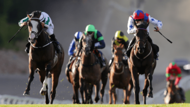 Market Liquidity and Horse Racing