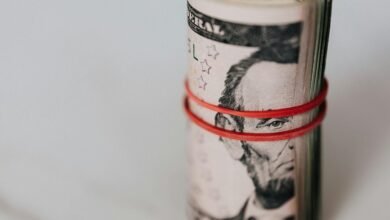 hdfc focus 30 fund