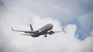 professional sector dynamics overview