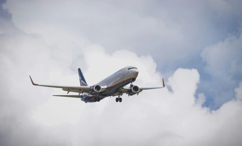 professional sector dynamics overview